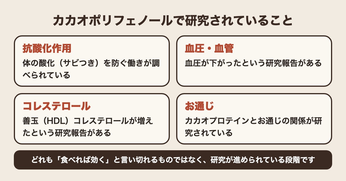 カカオポリフェノールで研究されていること(抗酸化作用・血圧・コレステロール・お通じ)
