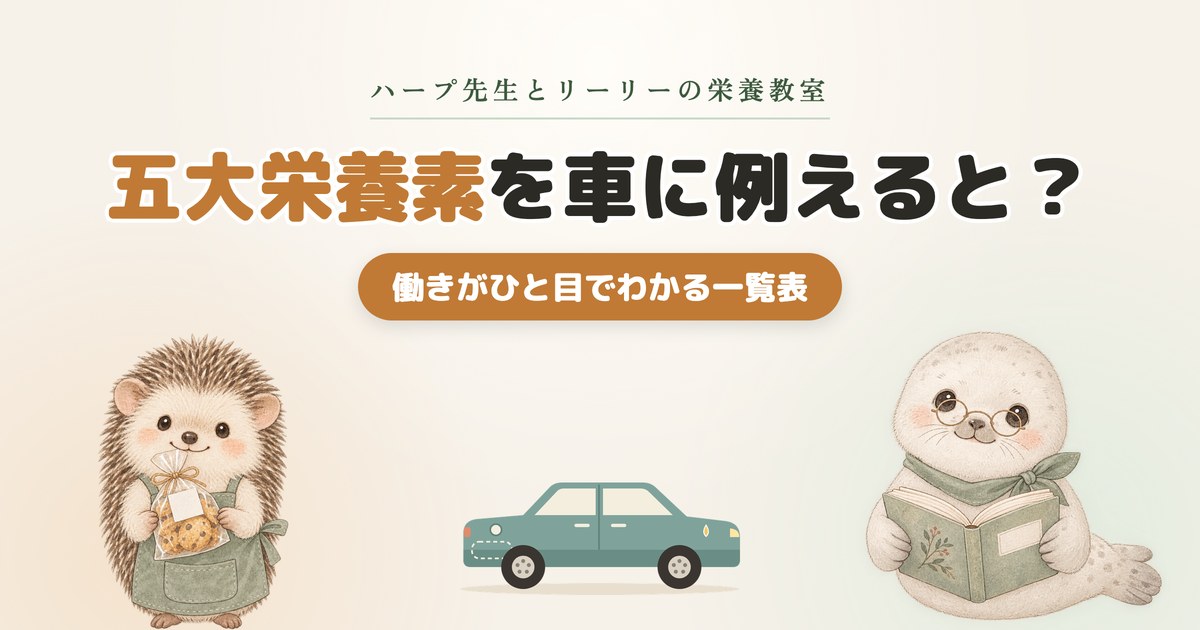 五大栄養素を車に例えると？働きがひと目でわかる一覧表
