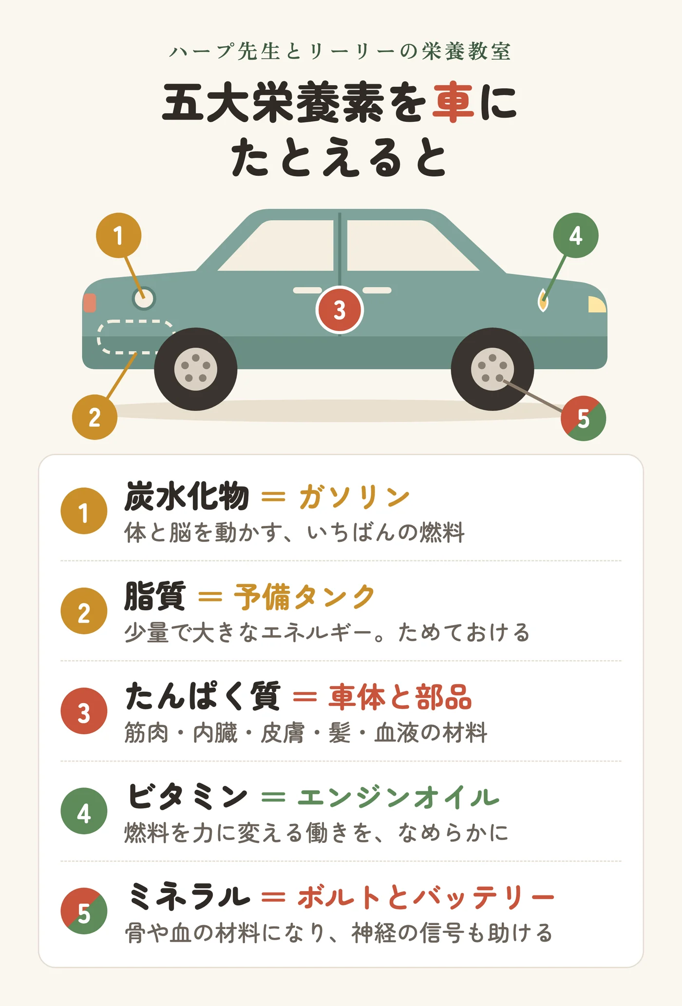 五大栄養素を車にたとえた図。炭水化物はガソリン、脂質は予備タンク、たんぱく質は車体と部品、ビタミンはエンジンオイル、ミネラルはボルトとバッテリー